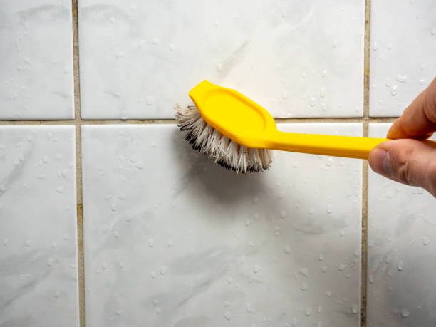 Best Residential Mold Remediation in Monahans, TX