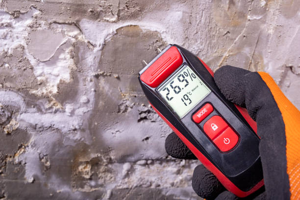 Best Health and Safety Mold Remediation in Monahans, TX